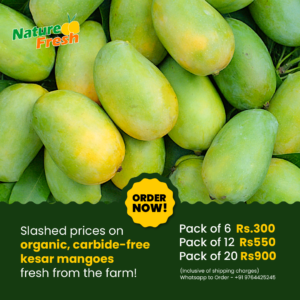 Farm Fresh Kesar Mango
